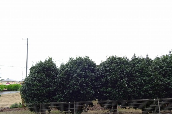 13/19 その他画像