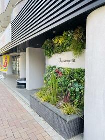 5/5 エントランス