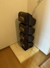 11/13 その他画像