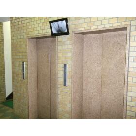 12/18 その他画像