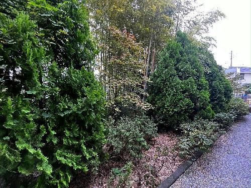 14/14 その他画像