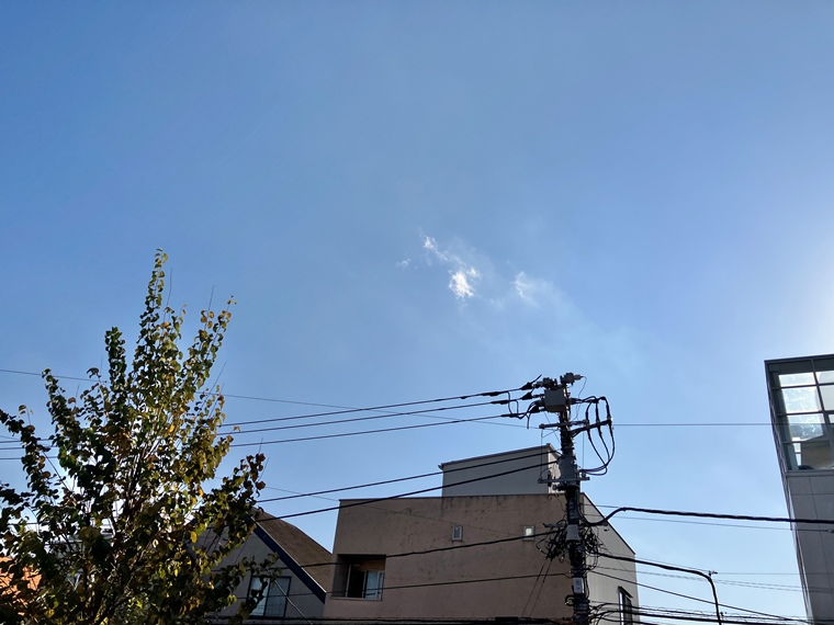 15/18 その他画像