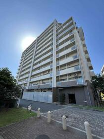 3/16 その他画像