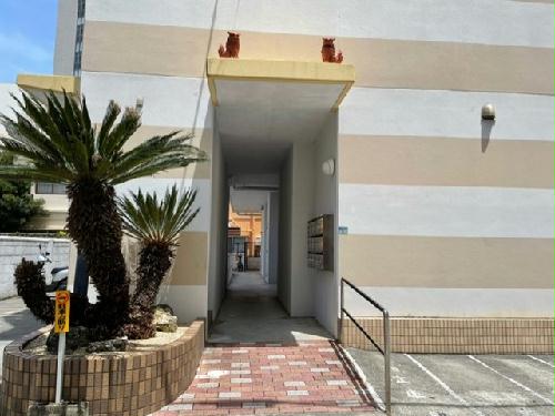 13/16 その他画像