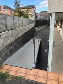 11/11 その他画像