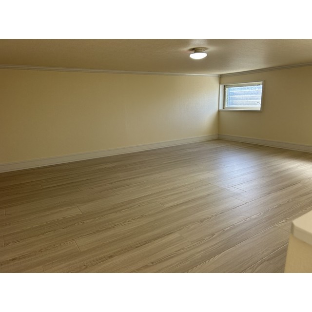 5/19 その他画像