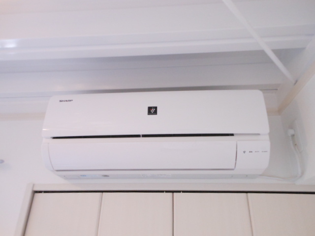 29/29 その他画像