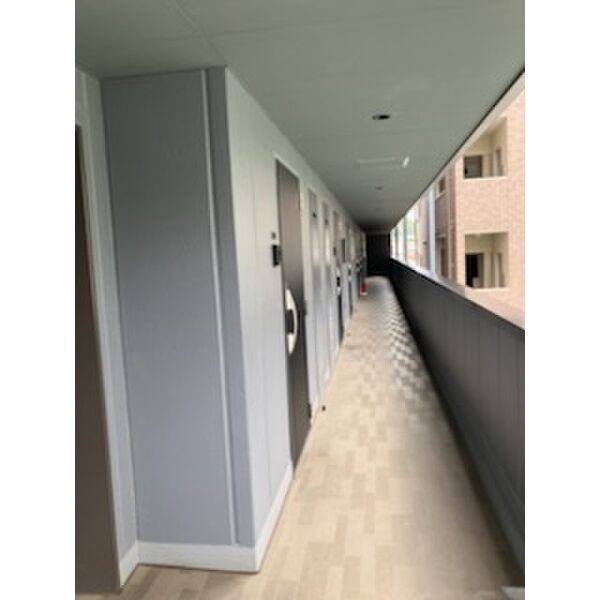 3/15 その他画像