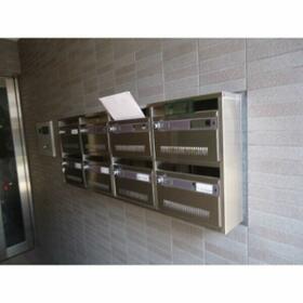 5/13 その他画像