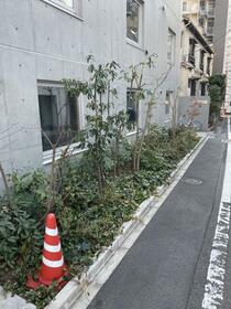 11/15 その他画像