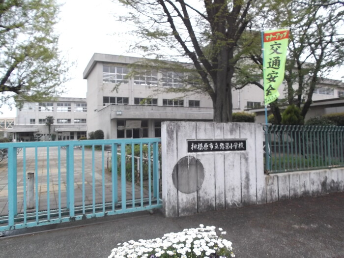 13/18 その他画像