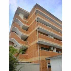 3/16 その他画像