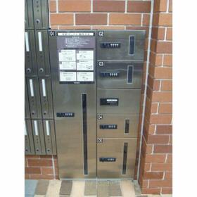 6/16 その他画像