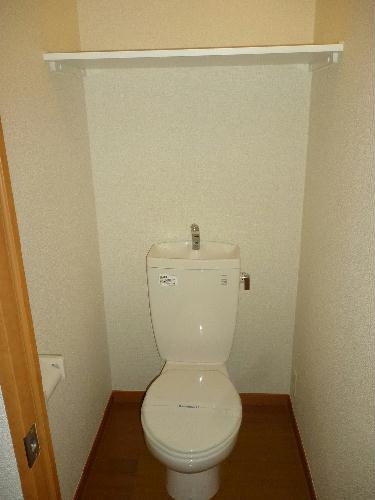 8/21 その他画像