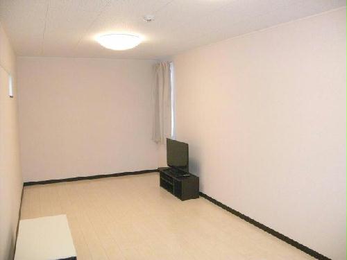 3/13 その他画像