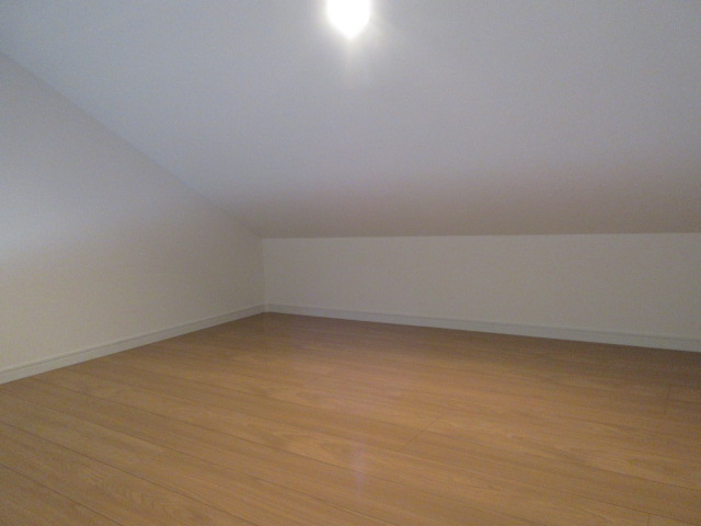 21/24 その他画像