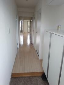 11/11 その他画像