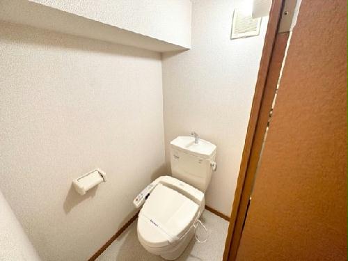 11/24 その他画像