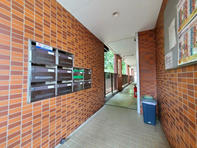 11/16 その他画像