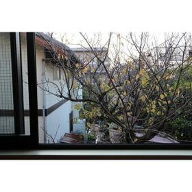 12/15 その他画像