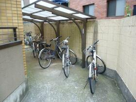 3/16 その他画像