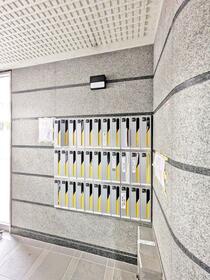 11/15 その他画像