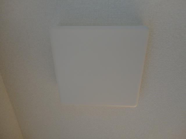 20/28 その他画像