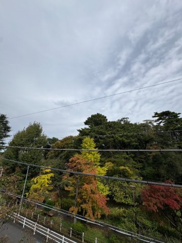 17/21 その他画像