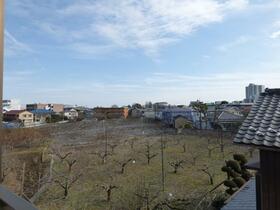 11/15 その他画像