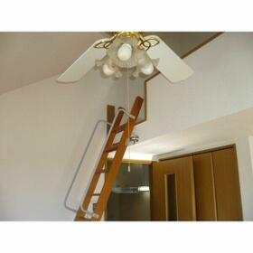 8/11 その他画像