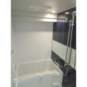 11/15 その他画像