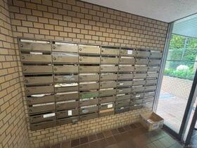 15/19 その他画像