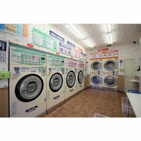 4/11 その他画像