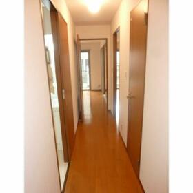 5/12 その他画像