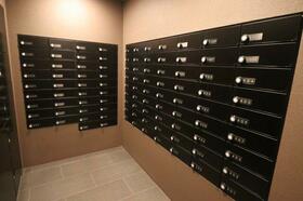 13/13 その他画像