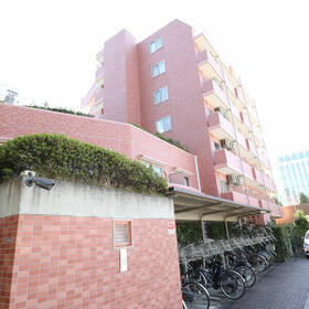 3/13 その他画像