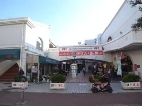 12/15 その他画像