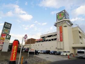 14/15 その他画像