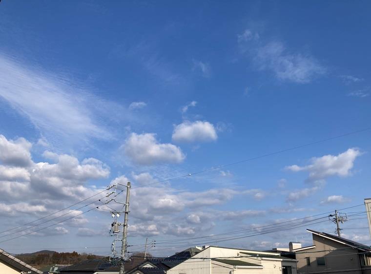 16/19 その他画像