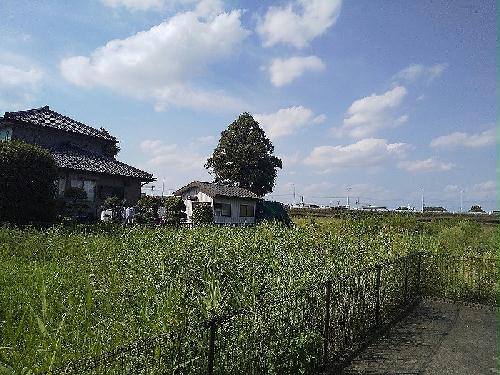 12/14 その他画像