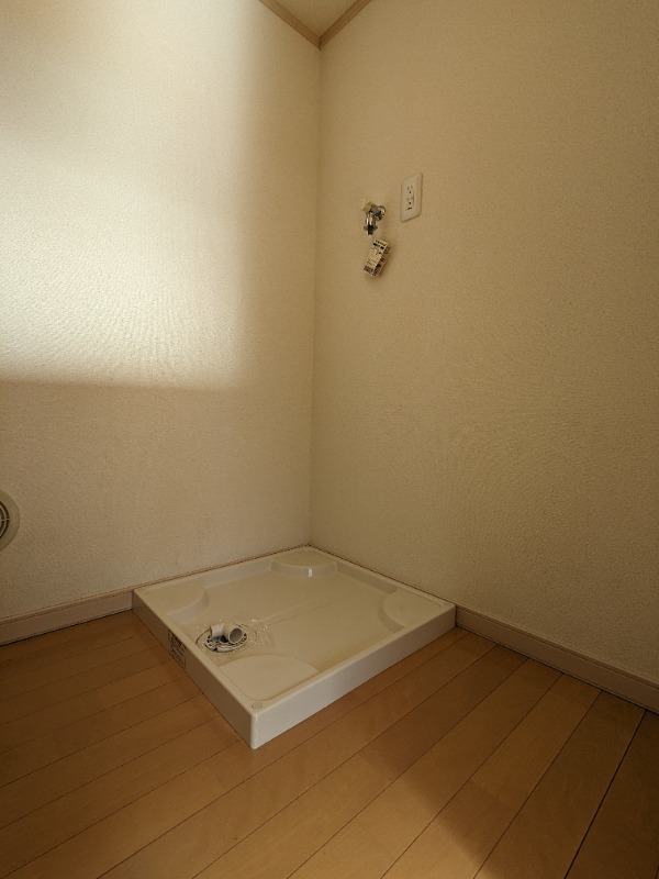 8/19 その他画像