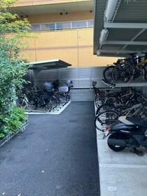 11/15 その他画像