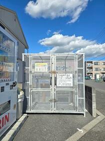 11/17 その他画像