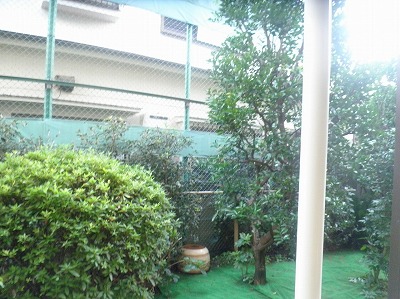 12/23 バルコニー