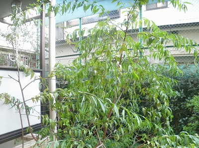 13/23 その他画像