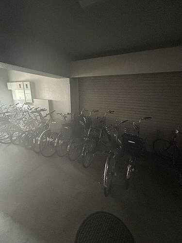 11/11 その他画像