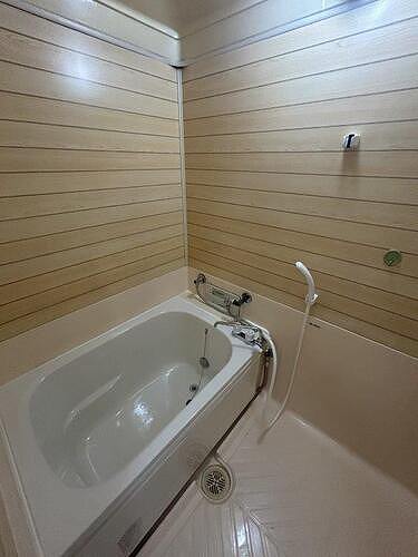 5/11 その他画像