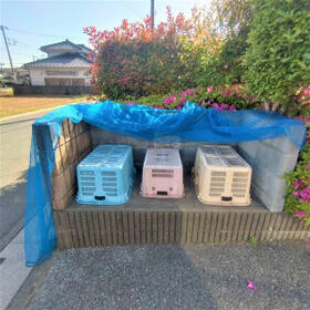 12/16 その他画像