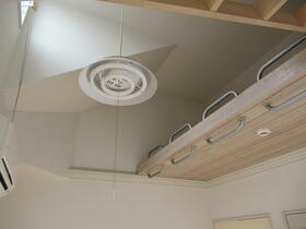 11/11 その他画像