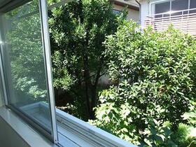 8/19 その他画像